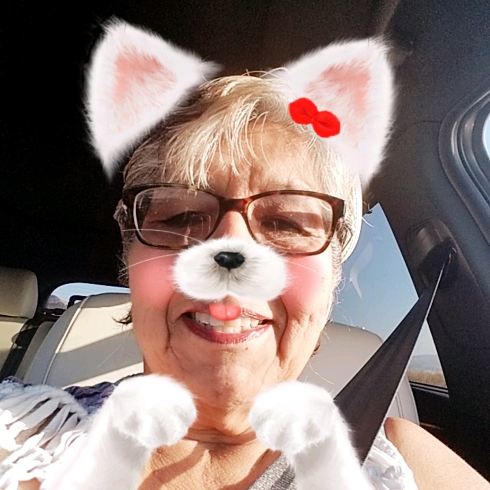 Meet your Posher, Sally